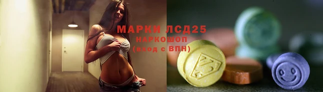 спайс Баксан